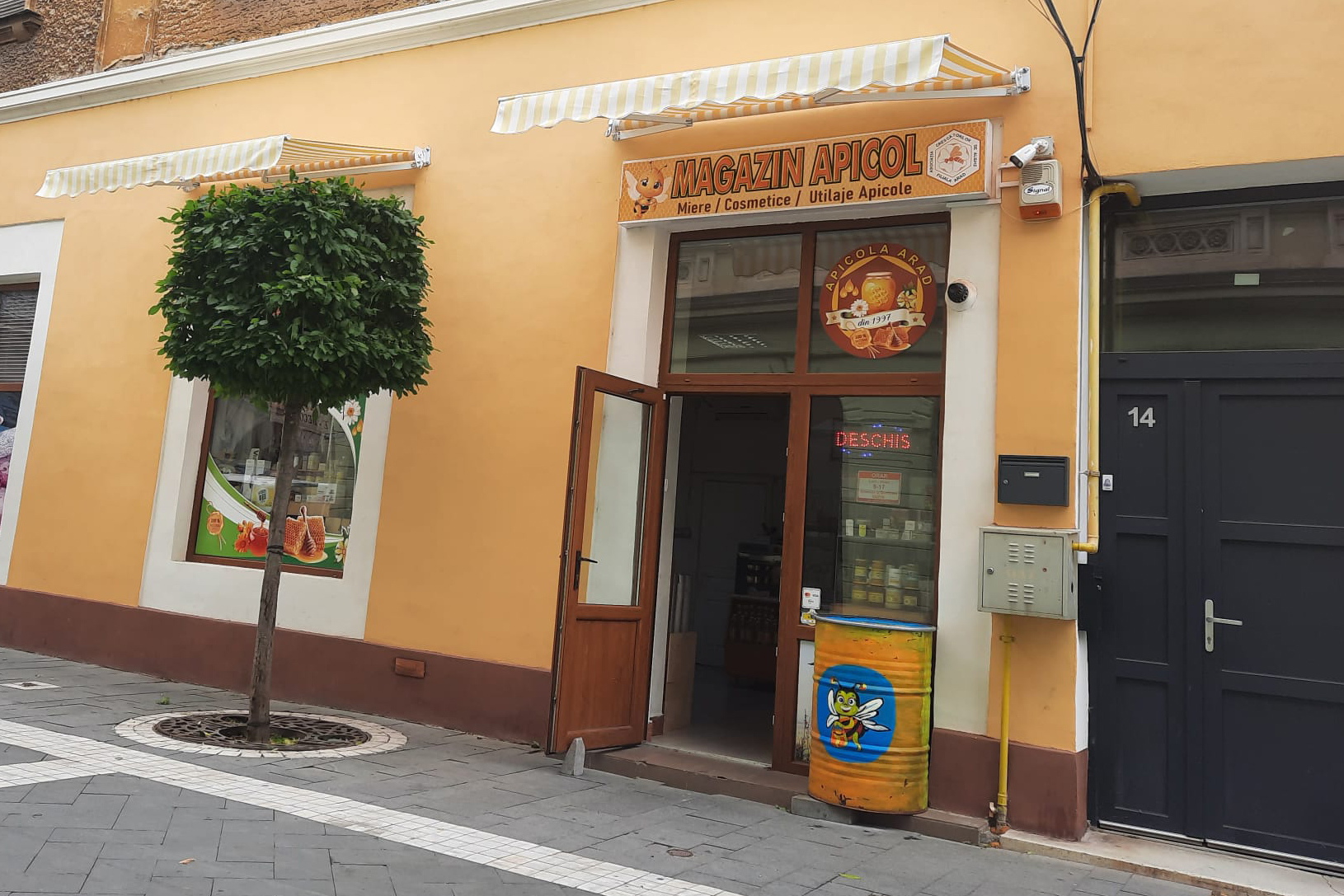 Apicola Arad